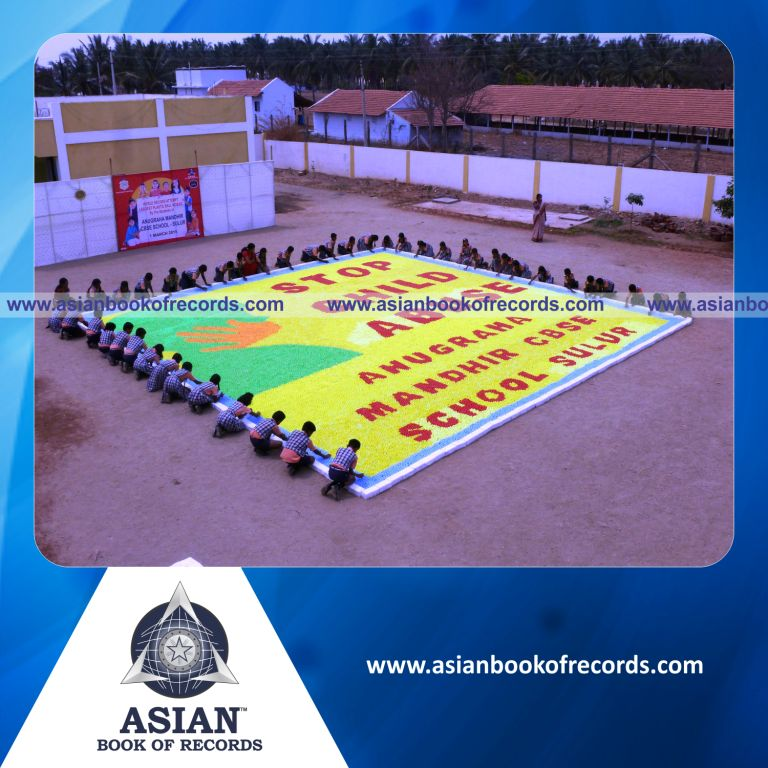 Largest Plastic Ball Mosaic by a Team