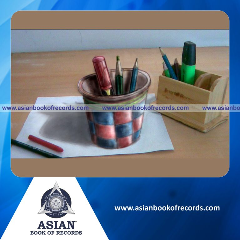Highest Number of 3D Illusion Drawings by an Individual (Male)