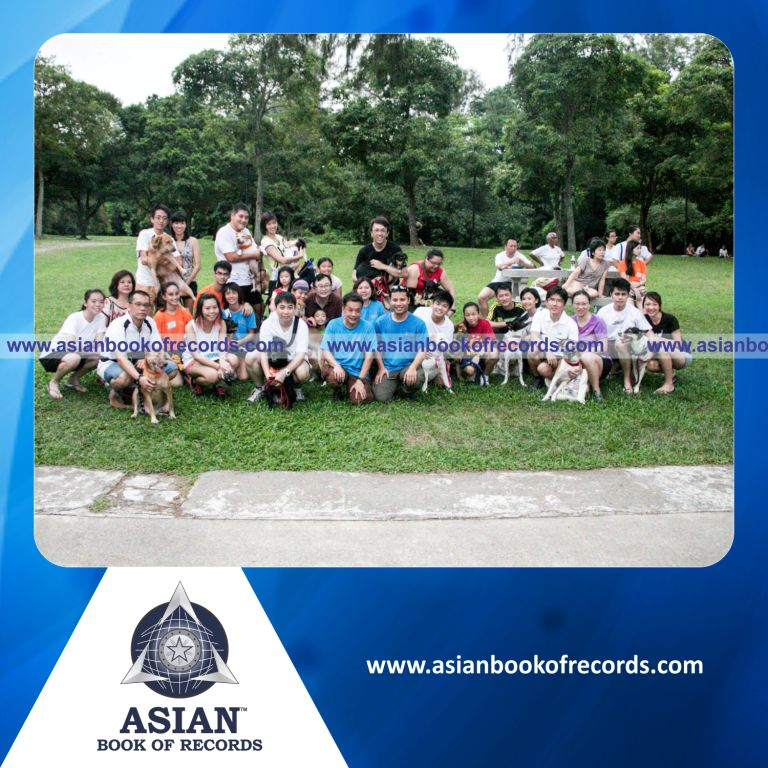 Highest Number of Dogs in Jogging