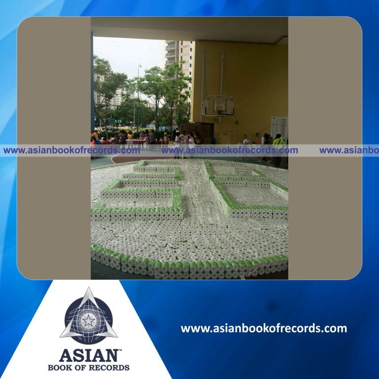 Largest Mosaic made of Toilet Rolls